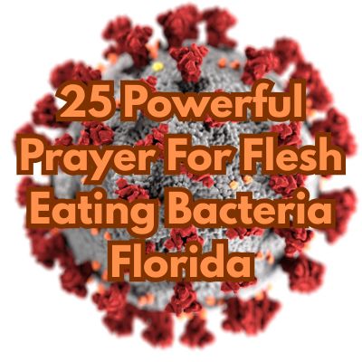 25 Powerful Prayer For Flesh Eating Bacteria Florida